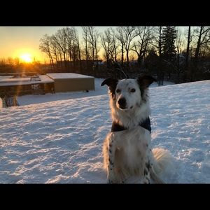 Meet your Posher, Ricardo